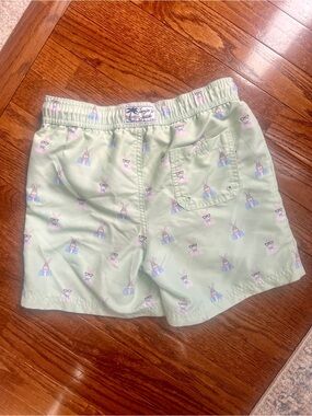 Janie and Jack Pastel Mint Bunny Swim Shorts